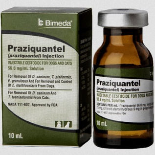 Praziquantel Bestellen online Generika